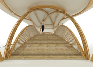 modern organic shaped bamboo bridge by StudioBamboo